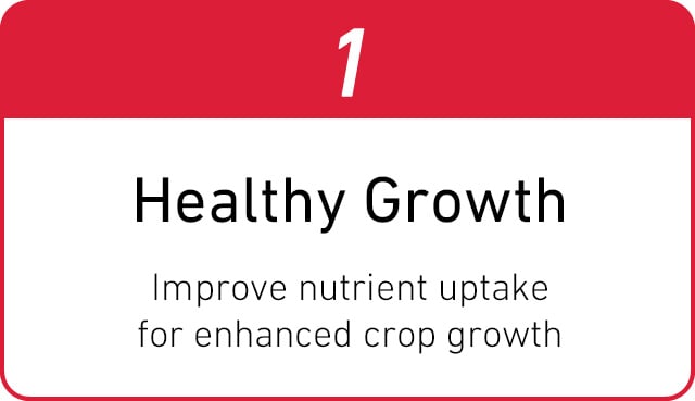 1. Healthy Growth Improve nutrient uptake for enhanced crop growth