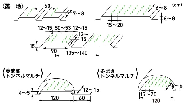 うね立て整形 マルチ にんじん 作業おたすけ帳 営農plus 農業 ヤンマー