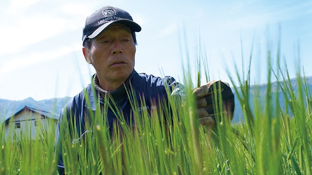 日本一ほしがられる米づくり 目指し 父と子が貫く稲作技術革新 営農情報 営農plus 農業 ヤンマー