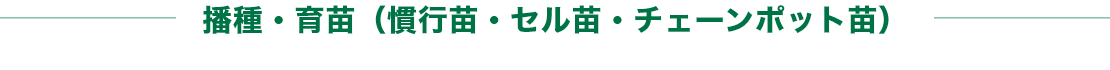 播種・育苗（慣行苗・セル苗・チェーンポット苗）