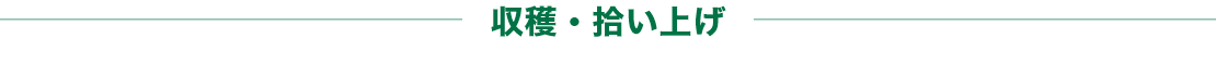 収穫・拾い上げ