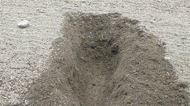 15cmほど掘り下げてみてもフカフカの土が出てくる。
