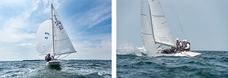 yacht race news